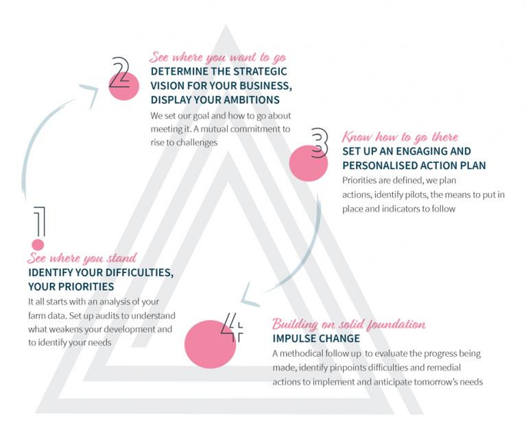 Schema IMPACT