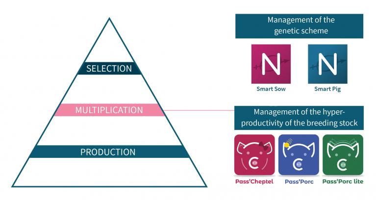 Applications of Cooperl Suite