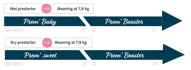 Prestarter for piglets - Creep feed